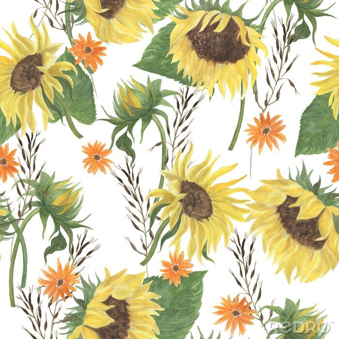 Tapete Watercolor painting seamless pattern with sunflowers. 