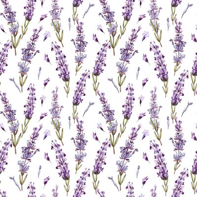 Tapete Watercolor pattern with Lavender. Hand painting. Watercolor. 