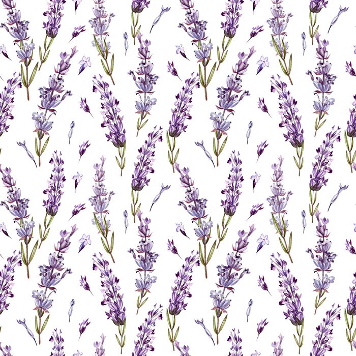 Tapete Watercolor pattern with Lavender. Hand painting. Watercolor. 