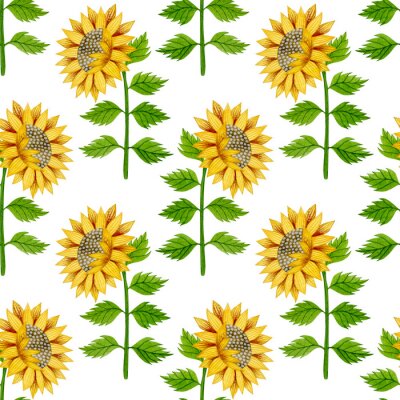 Tapete Watercolor seamless pattern of sunflowers and leaves on a white background.