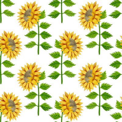 Tapete Watercolor seamless pattern of sunflowers and leaves on a white background.
