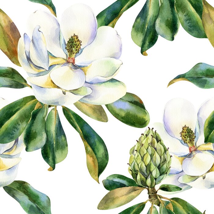 Tapete Watercolor seamless pattern with white magnolia, green leaves, botanical painting isolated on a white background, floral painting, stock illustration.