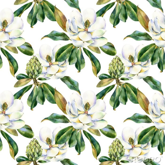 Tapete Watercolor seamless pattern with white magnolia, green leaves, botanical painting isolated on a white background, floral painting, stock illustration. Fabric wallpaper print texture.