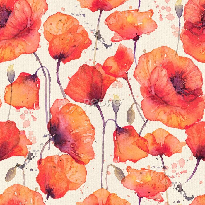 Tapete Watercolor seamless pattern with wild red poppies, vintage background