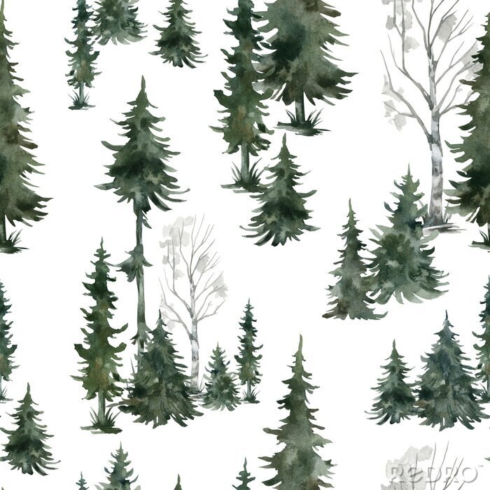 Tapete Watercolor seamless pattern with winter trees. Spruce, birch, pine, Christmas tree. Nature background. Forest landscape.