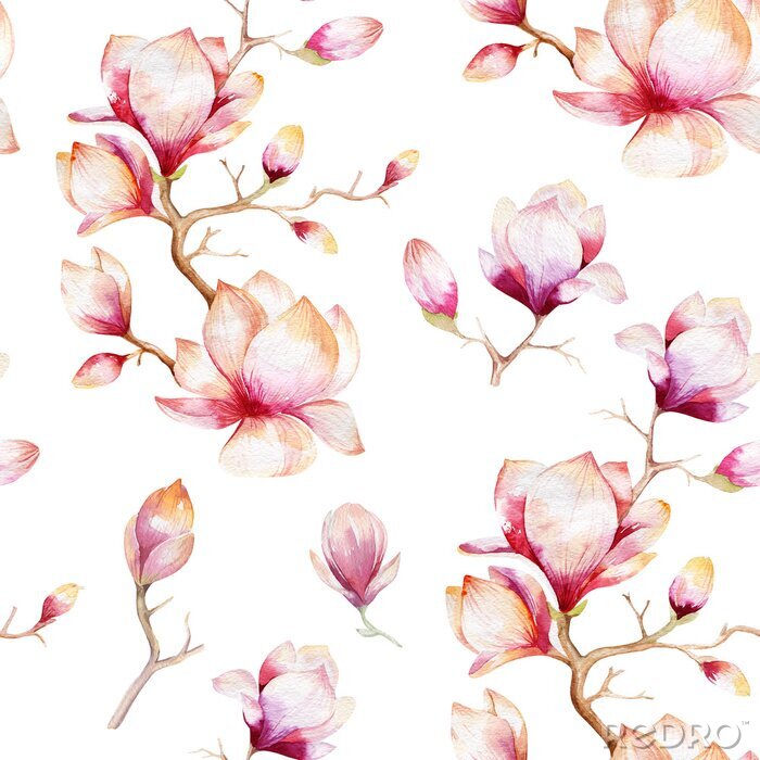 Tapete Watercolor seamless wallpaper with  magnolia flowers, leaves.