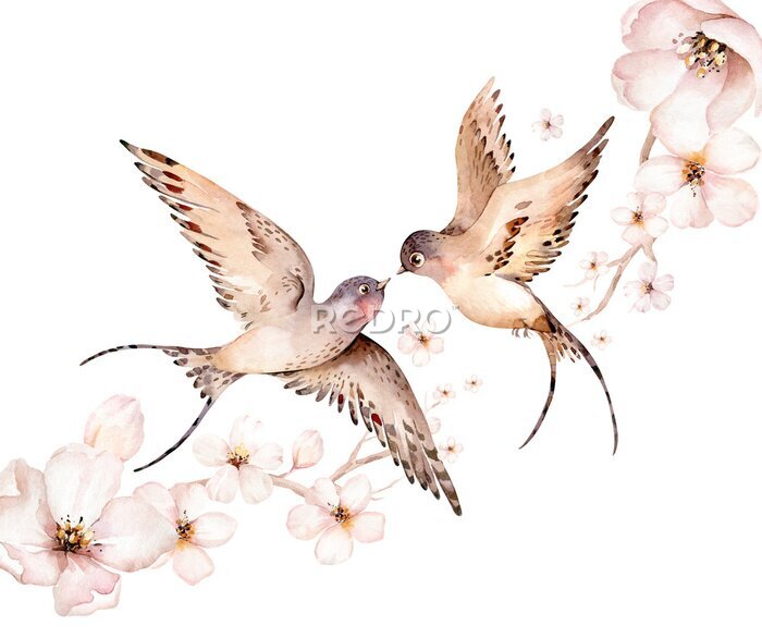 Tapete Watercolor spring flying swallows isolated and blossom flowers on white background