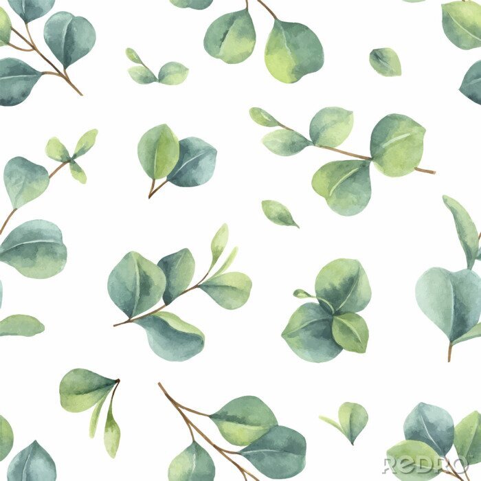 Tapete Watercolor vector hand painted seamless pattern with green eucalyptus leaves.