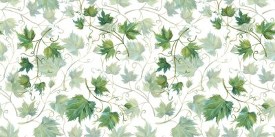 Tapete Weinrebe grün