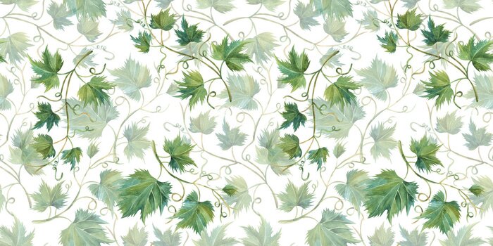 Tapete Weinrebe grün