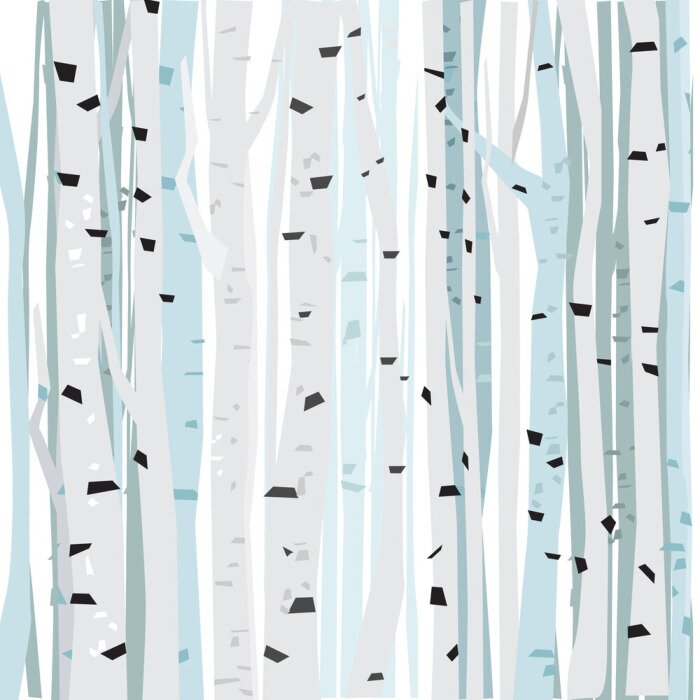 Tapete Weiße Bäume - Birken im Wald