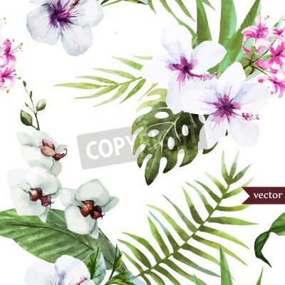 Tapete Weiße Hibiskusblüten