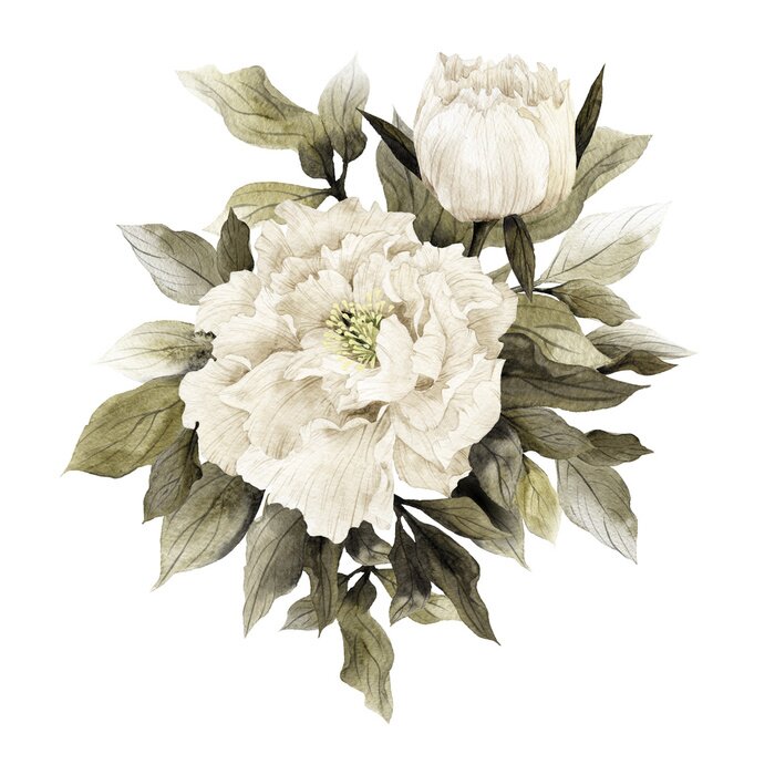 Tapete Weiße Pfingstrosen mit Wassertechnik gemalt