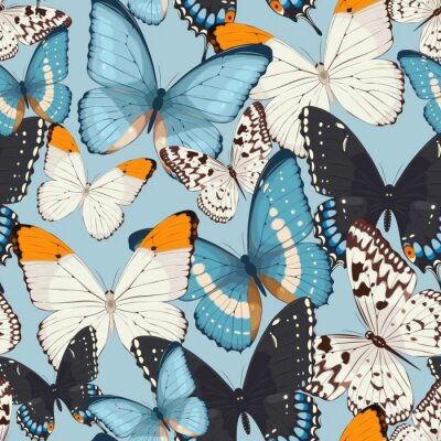 Tapete Weiße, schwarze und blaue Schmetterlinge