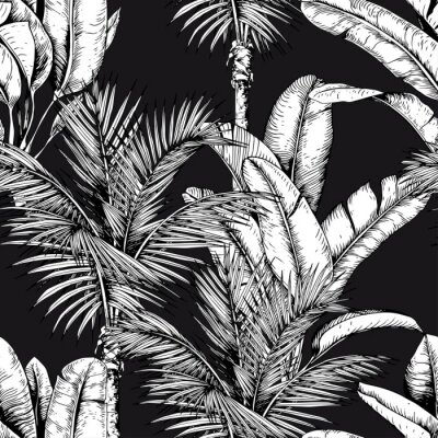 Weiße tropische Pflanzen auf schwarzem Hintergrund