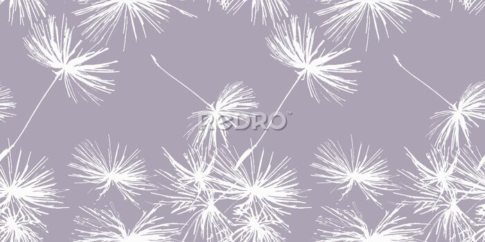 Tapete Weißer Löwenzahn auf einem Pflaumenhintergrund