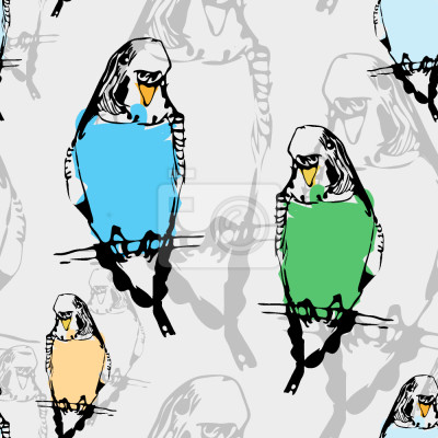 Tapete Wellensittiche