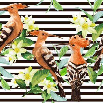 Tapete Wiedehopfe auf schwarz-weißen Streifen