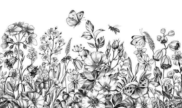 Tapete Wild Plants and Insects Seamless Border
