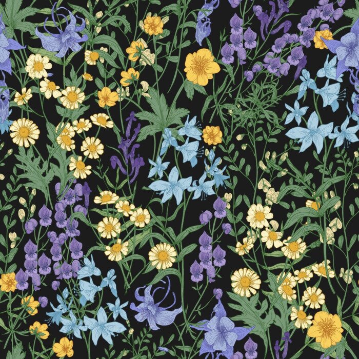 Tapete Wildblumen auf schwarzem Hintergrund