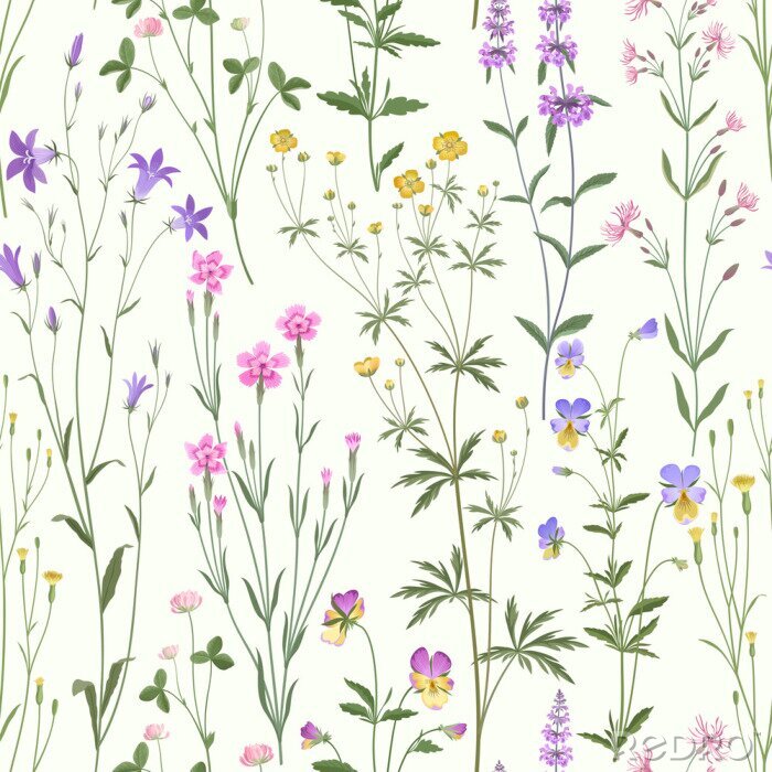 Tapete Wildblumen in Pastellfarben