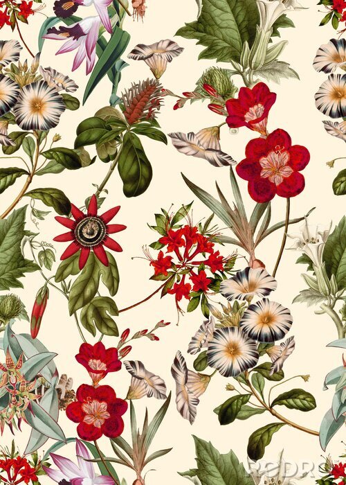 Tapete Wilde Feldblumen auf hellem Hintergrund