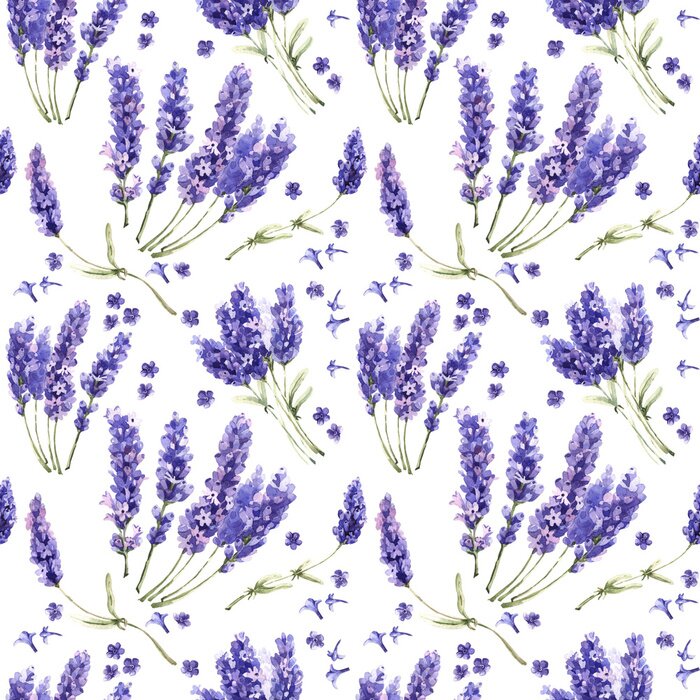 Tapete Wildflower Lavendel Blumenmuster in einem Aquarell-Stil isoliert.