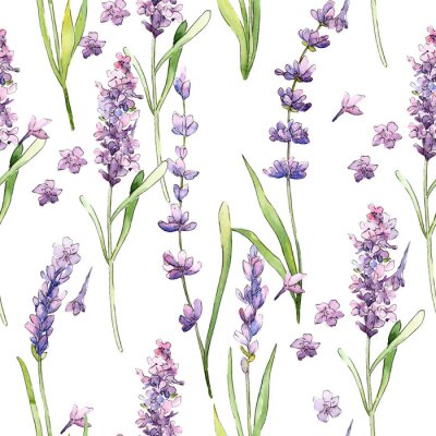 Tapete Wildflowerlavendel-Blumenmuster in einer Aquarellart. Vollständiger Name der Pflanze: Lavendel. Wilde Blume des Aquarells für Hintergrund, Beschaffenheit, Verpackungsmuster, Rahmen oder Grenze.