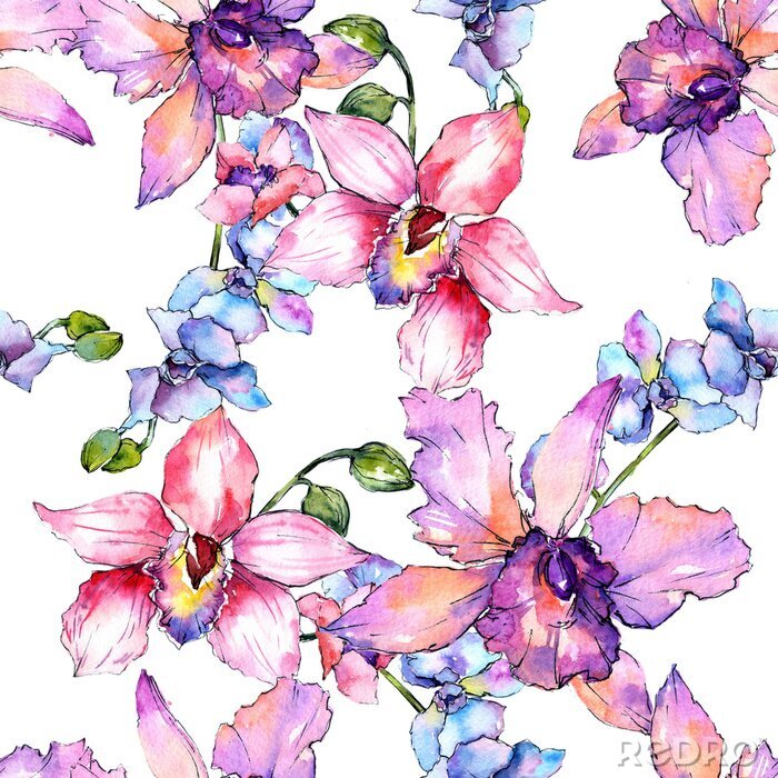 Tapete Wildflowerorchideen-Blumenmuster in einer Aquarellart. Vollständiger Name der Pflanze: bunte Orchidee. Wilde Blume des Aquarells für Hintergrund, Beschaffenheit, Verpackungsmuster, Rahmen oder Grenze.