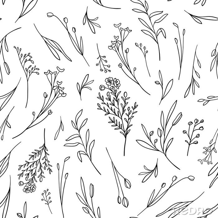 Tapete Wildflowers seamless pattern on white background. Botanical illustration