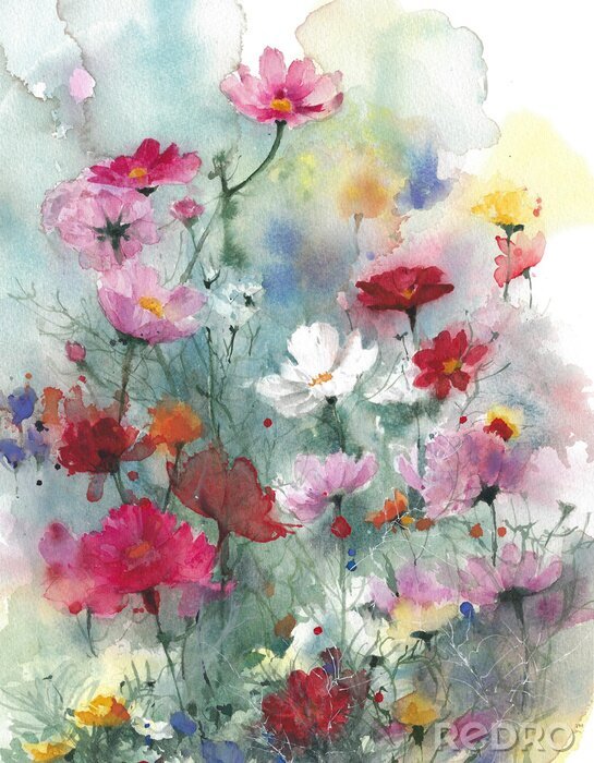 Tapete Wildflowers summer colorful flowers watercolor painting illustration isolated on white background