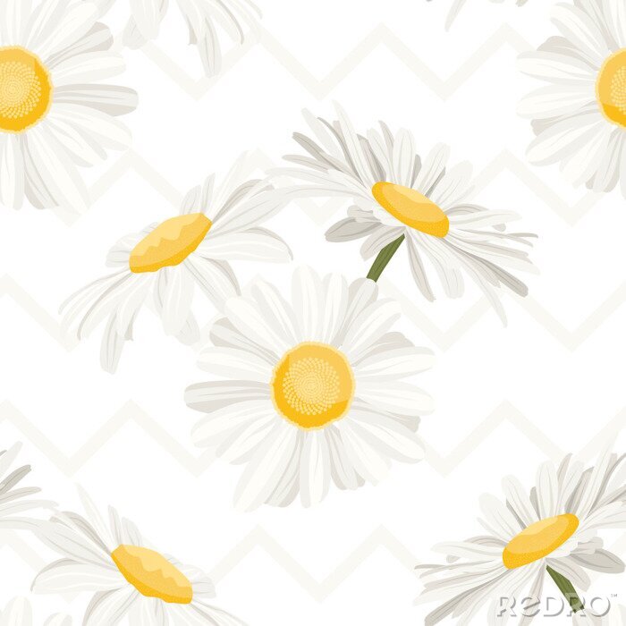 Tapete Zarte grafische Gänseblümchen