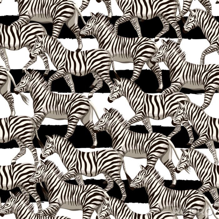 Tapete Zebras auf gestreiftem Hintergrund