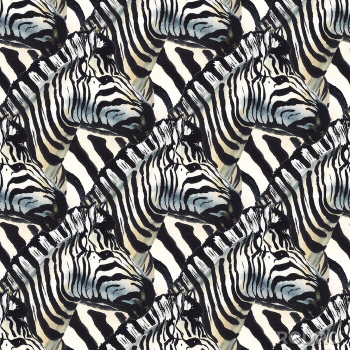 Tapete Zebras blicken in eine Richtung