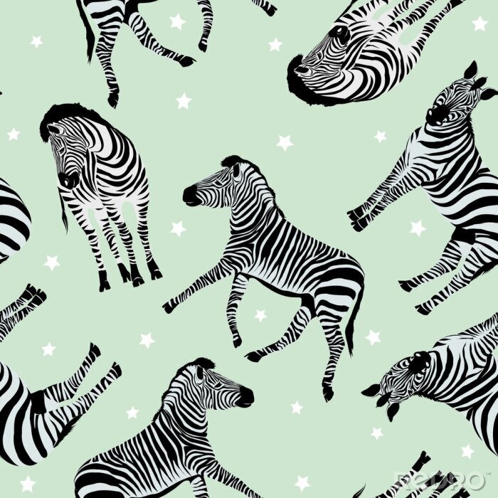 Tapete Zebras und Sterne auf grünem Hintergrund