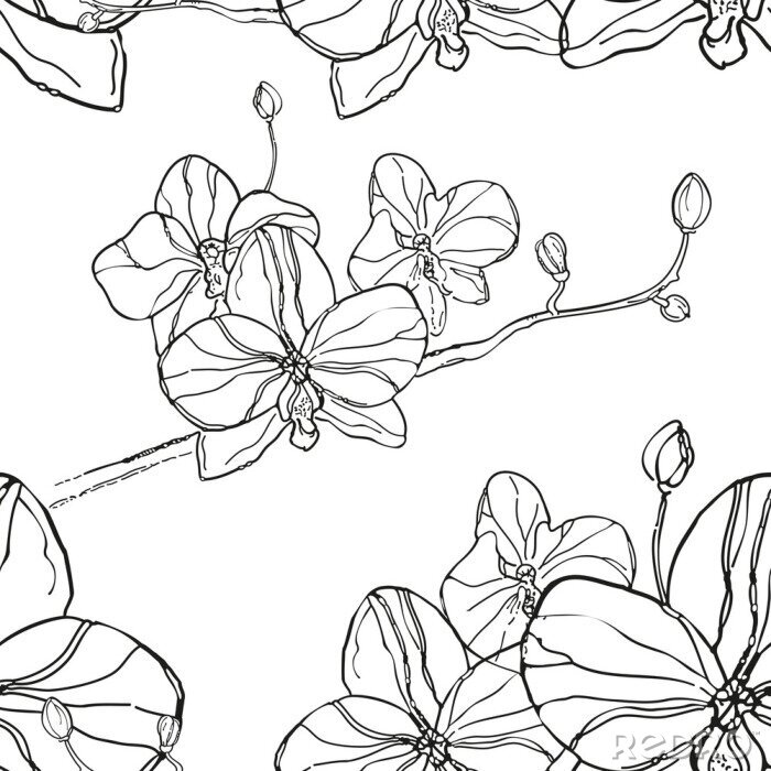 Tapete Zusammenfassung Nahtlose Muster mit schwarzen Orchideen Blume auf weißem Bac