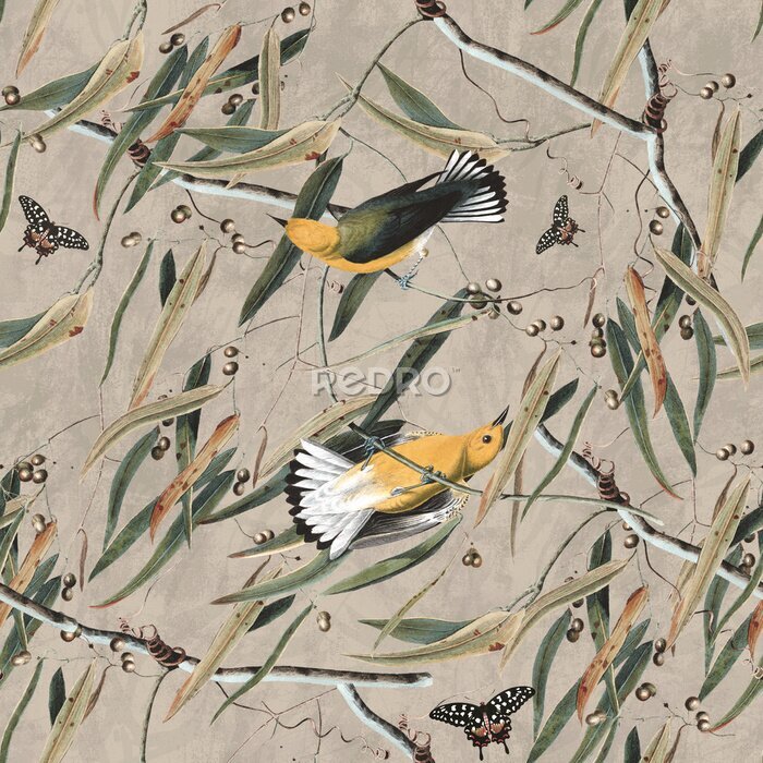 Tapete Zwei Vögel im Dickicht