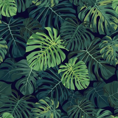 Fototapete Zweifarbige Monstera-Blätter
